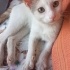 Masum bir Melek fotoğraf
