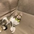3 kardeş yuvalarını bekliyor fotoğraf