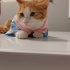 Prensese ev aranıyor fotoğraf