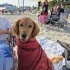 Çok akıllı uysal anne kız fotoğraf