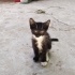 Kutuyla Terk Edilen Minik Meleğe Acil Yuva Arıyoruz fotoğraf