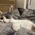 2,5 aylık tatlı kıza yuva