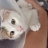 Masum oyuncu sevgi dolu ve şaşı 😻💙🧿 fotoğraf