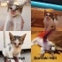 Sevgi dolu miniğe kalıcı yuva arıyoruz. fotoğraf