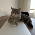 Oğluma yuva arıyorum