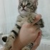 Kucak delisi bir prenses sevimli