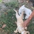 Çok iyi huylu sevecen kardeşler fotoğraf