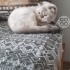 Hürrem  ömürlük yuva arıyor fotoğraf