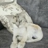 Ücretsiz sahiplenme chinchilla kedi fotoğraf