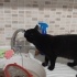Çook tatlı tedirgin minik fotoğraf