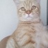 Adım Behlül 7 aylığım fotoğraf