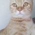 Adım Behlül 7 aylığım fotoğraf