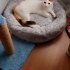 Evinizde banada bir  yer açabilirimisiniz? fotoğraf