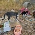 Sitede doğan 3 yavru bebeklere yuva ariyoruz. fotoğraf