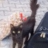 Bu güzelliğe ömürlük yuva fotoğraf