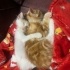 PRENSES LOKUM KIZIMIZ SARMAN 4 AYLIK fotoğraf