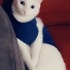Kızımıza acil yuva aranıyor fotoğraf