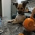 Oyuncu eğlenceli fotoğraf