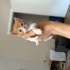 Zeyna ve Herkül fotoğraf