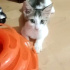 Sokağa gitmeden son ilan fotoğraf