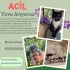 ANNE KEDİ VE MİNİ MİNİ BİRLERİ YUVA ARIYOR fotoğraf