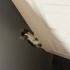 4 Erkek 1 Dişi Sevimli Yavru Kedi Yuva Arıyor! 🐾 Ücretsiz Sahiplendirme" fotoğraf