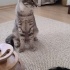 Sokağa dönmeme izin vermeyin fotoğraf