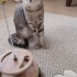 Sokağa dönmeme izin vermeyin fotoğraf
