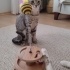 Sokağa dönmeme izin vermeyin fotoğraf