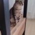 Sokağa dönmeme izin vermeyin