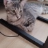 Sokağa dönmeme izin vermeyin fotoğraf