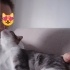 Lütfen minik patimden tutun fotoğraf