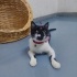 Köpek saldırısı ile sayısız ameliyat geçiren Yaşar kıza yuva arıyoruz fotoğraf