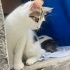 Tontonla Yuvanız Şenlensin. fotoğraf