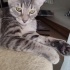 Çok tatlı bir hanım fotoğraf