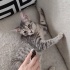 Çok tatlı bir hanım fotoğraf