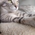 Çok tatlı bir hanım fotoğraf