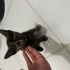 Cana yakın cici kız fotoğraf