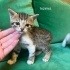 17 Temmuz doğumlu güzel bebeklerimiz için yuva fotoğraf