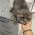 Sokağa terkedilen sevecen can❤️ fotoğraf