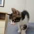Sıcacık minicik bir çocuk kucak seven fotoğraf