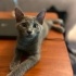 Son şansım sen olur musun? fotoğraf