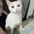 Ankaralı kızımıza yuva fotoğraf