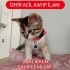 KAYIP İZMİR /KONAK/ EŞREFPAŞA ACİLLL KAYIPP fotoğraf