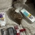 2 Aylık Dişi Silver British Shorthair fotoğraf