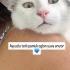 Kaza atlattı, bir yuvayı hak ediyor fotoğraf