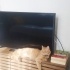 Tatlı Güzel Kızımız fotoğraf