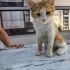 Küçük emrah ailesini arıyor fotoğraf