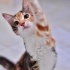 İnci Peri Güneş fotoğraf