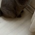 Oscar'a kalıcı yuva arıyoruz fotoğraf